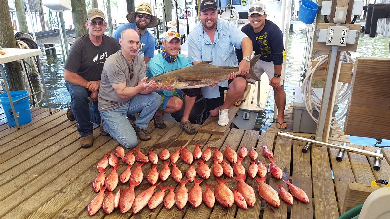 Mean (+ SE) catch rate per hook hour for all fishes and red snapper