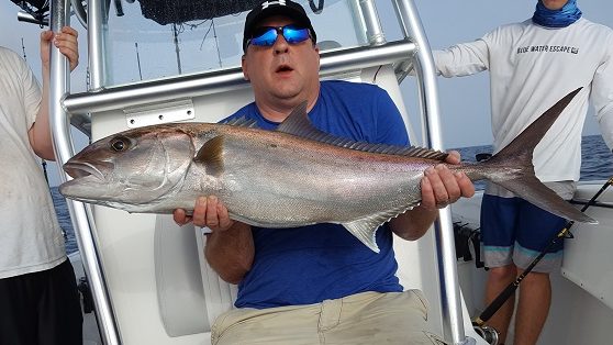 Fishing for Amberjack