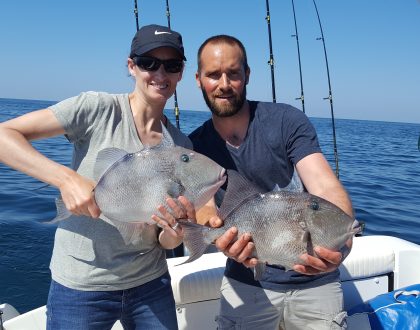 Gray Triggerfish Opens In Federal Waters