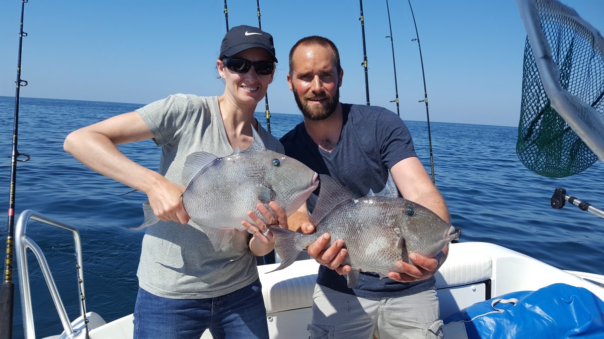 Gray Triggerfish Opens In Federal Waters