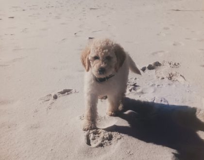 Having fun on the beach